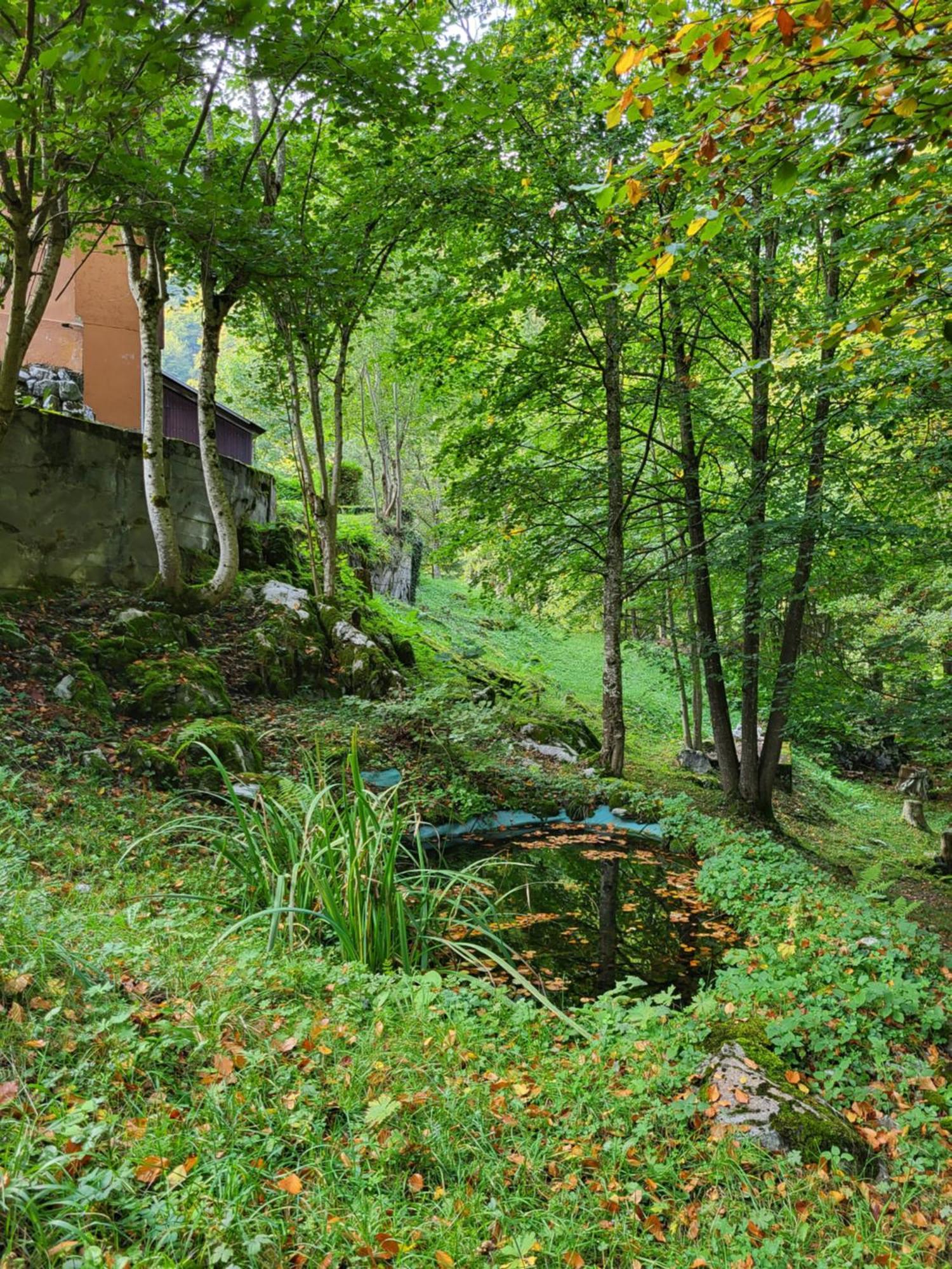 Ferienhaus Baerschwendi 룬게른 외부 사진